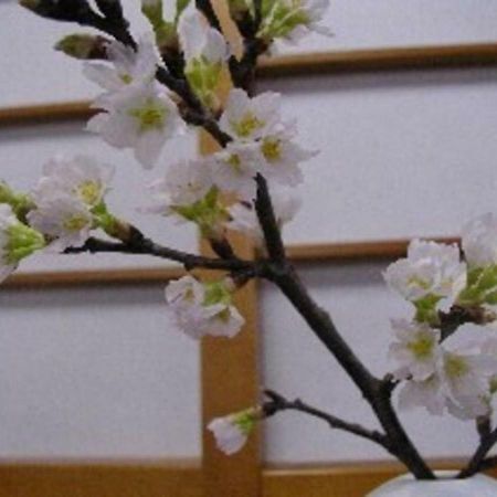 Wakaba Ryokan / Vacation Stay 29376 Саката Екстер'єр фото